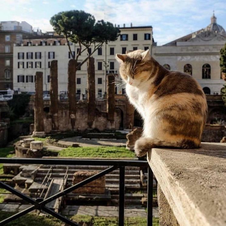 Ancient Roman Mansion Exterior foto